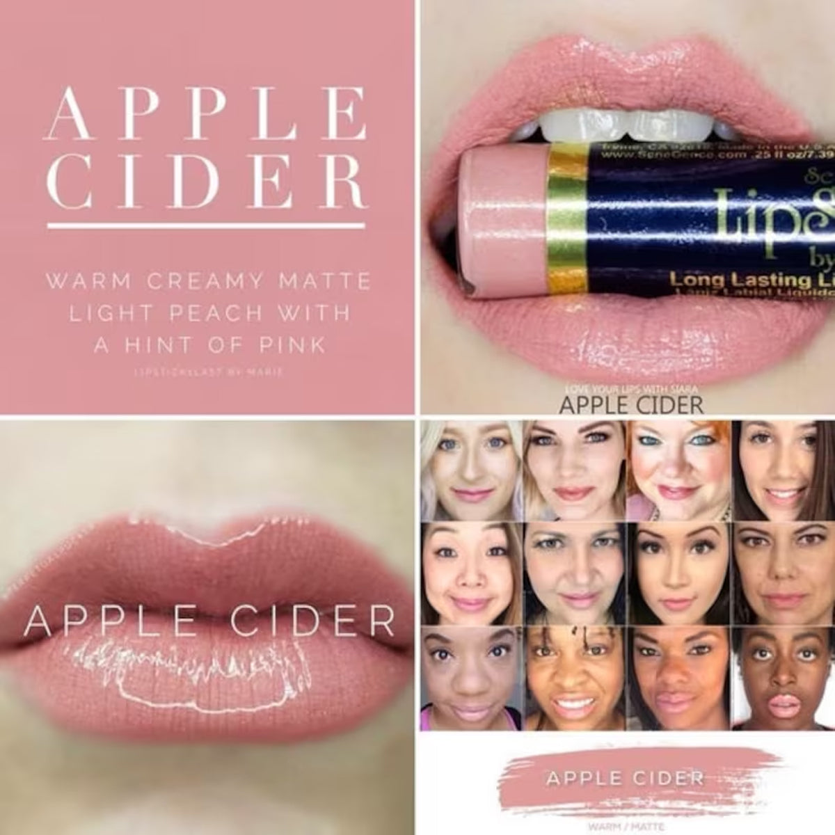 Apple Cider LipSense Lip Color Apple Cider LipSense Lip Color
