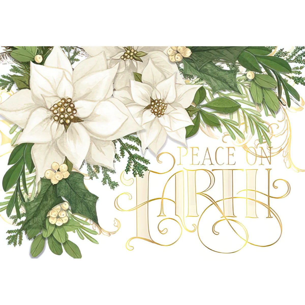 Christmas Card, Peace on Earth, White Poinsettias