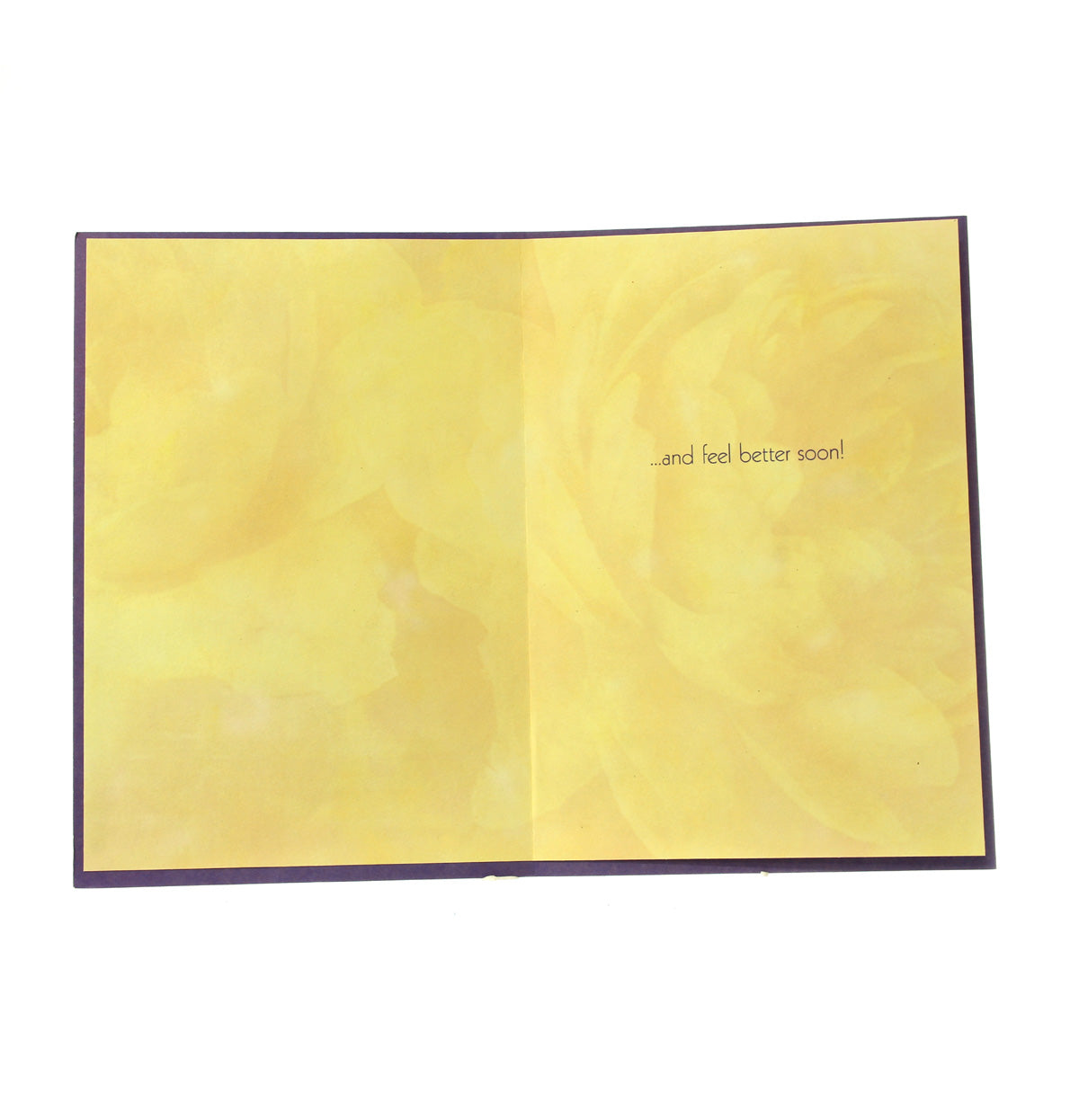 Get Well Card: Let the sun shine in... (Image of apples & flowers)