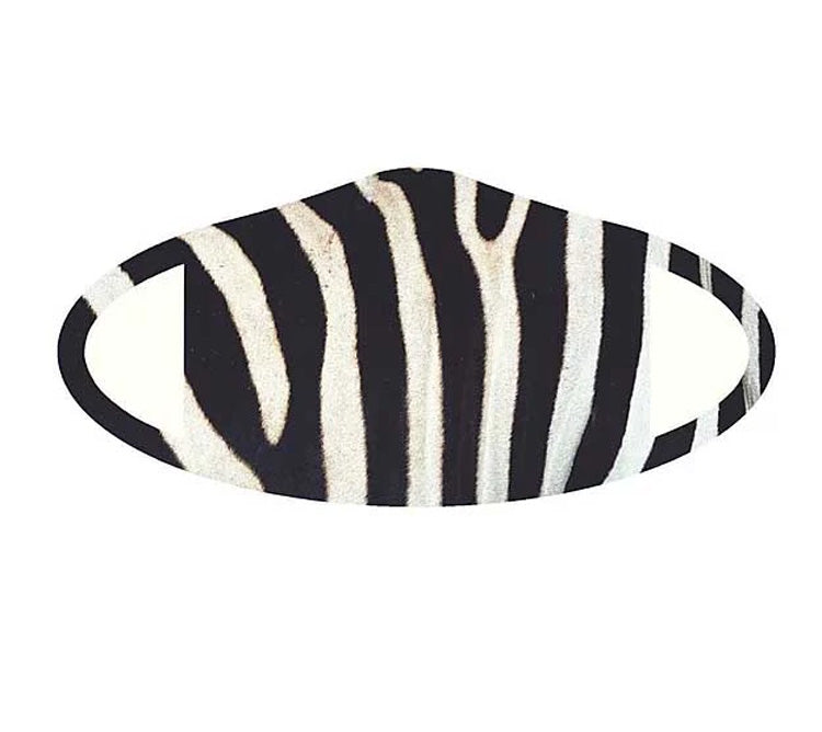 Animal Print Face Masks