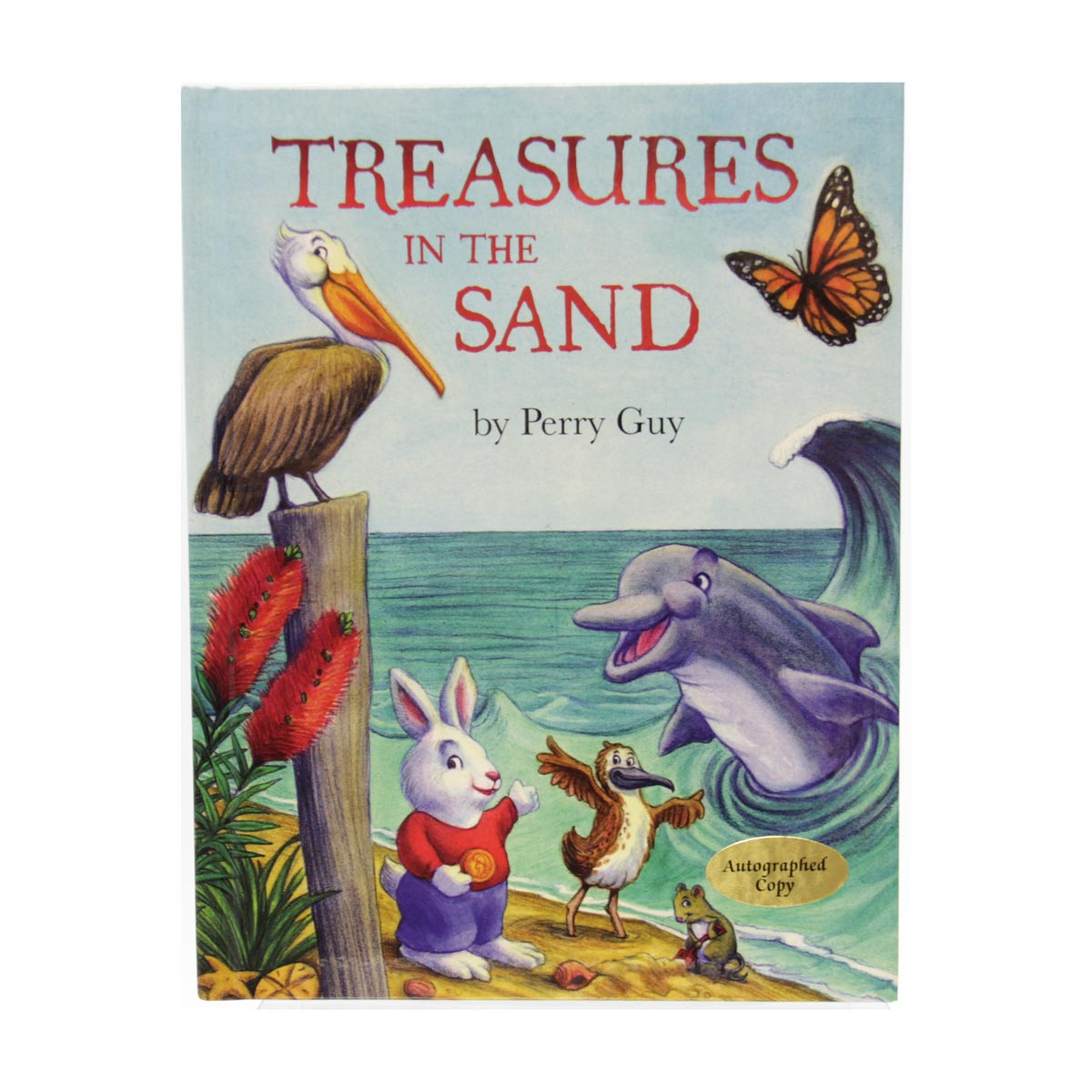 Treasures in the Sand Book