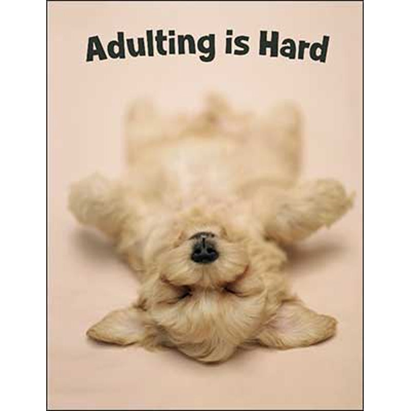 Encouragement & Support Card: Adulting is Hard