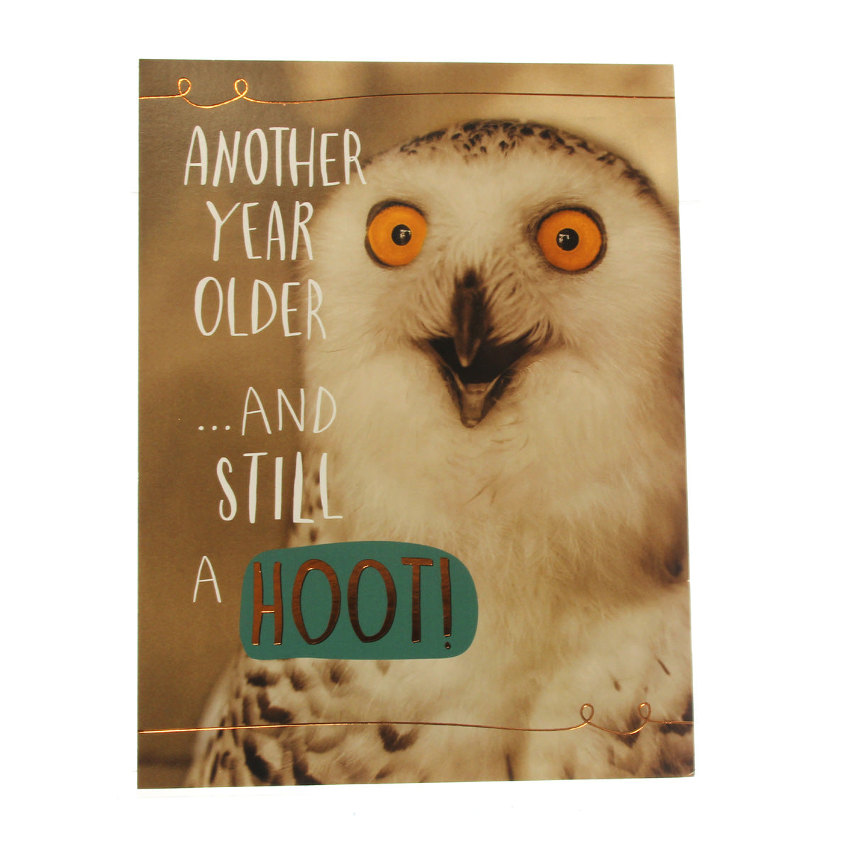 Birthday Card: Another Year Older ...and still a hoot! (w/Owl)