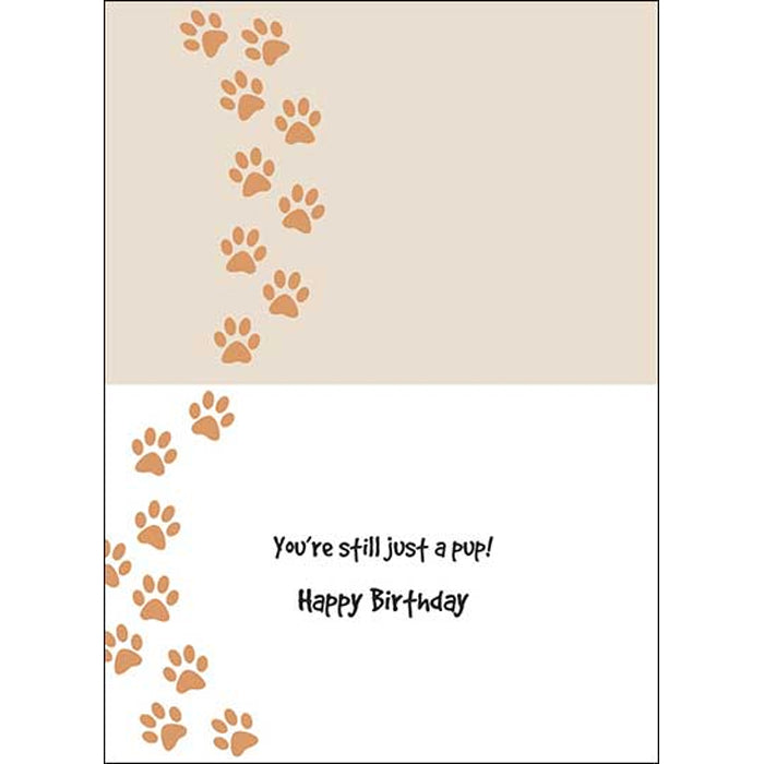 Birthday Card: "Let's just paws all this talk..." w/puppy