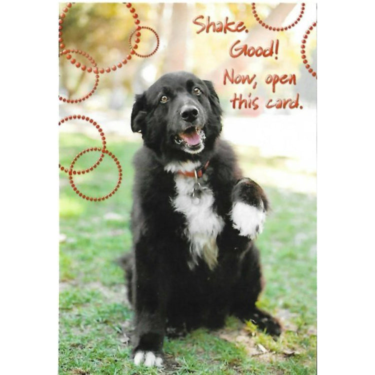 Birthday Card: Dog "Shake. Good!.."