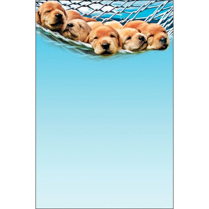 Blank Note Card Set-8-puppies