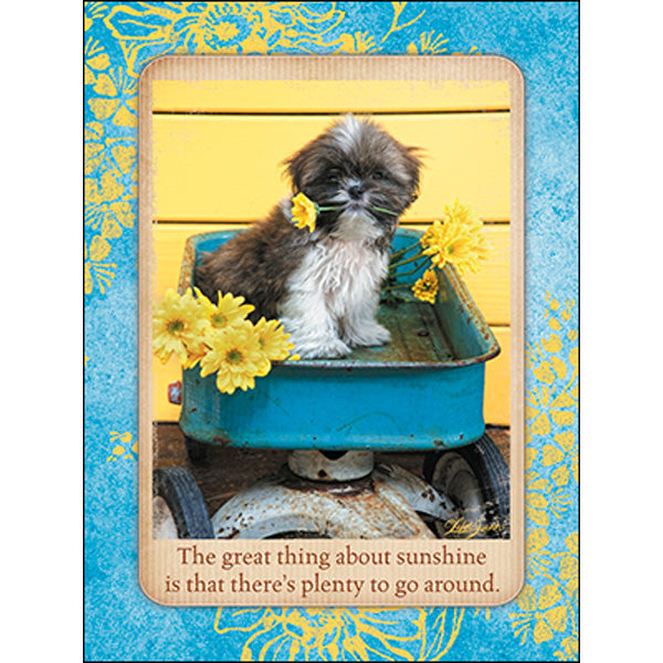 Any Occasion Card: a little sunshine