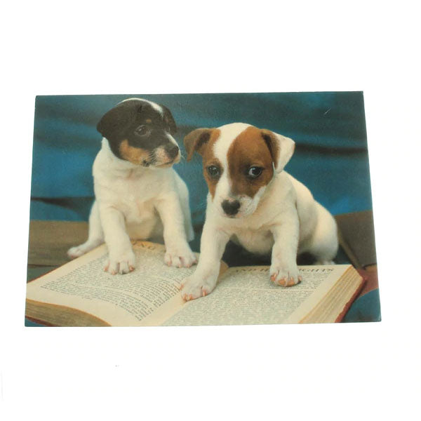 Graduation Card: Way to hit (image of dogs)